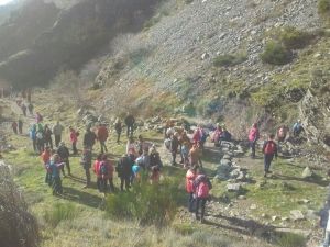 ruta